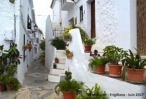 576 - Frigiliana